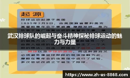8868体育官网